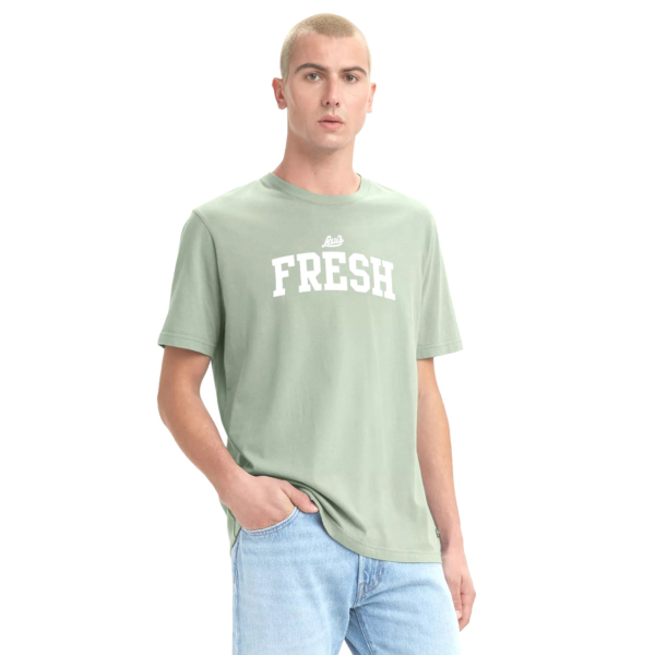 Levi's® Fresh Relaxed Tee - Nearart Green (16143-0501)