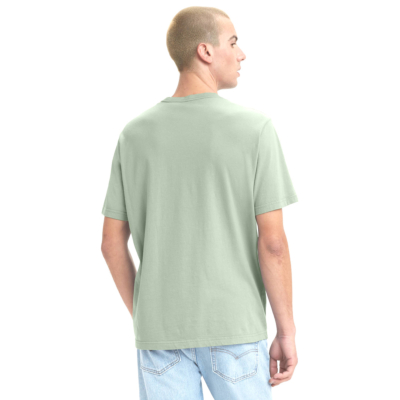 Levi's® Fresh Relaxed Men T-Shirt in Nearart Green (16143-0501)
