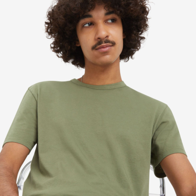 Levi’s® Premium Slim T-Shirt for men in Moss Olive (A3756-0021) 